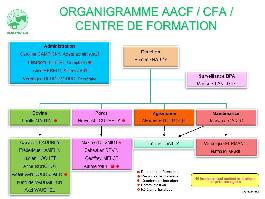 Organigramme Canappeville